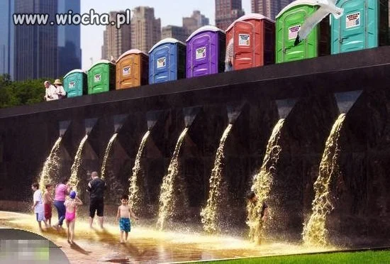 Oryginalny  Toi Toi
