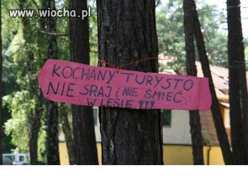 Dla pieniędzy kochany