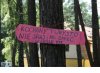 Dla pieniędzy kochany