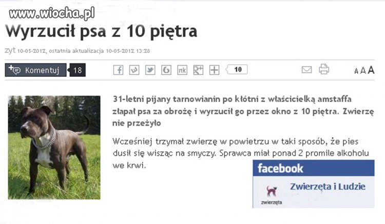 Jakim trzeba być bydlakiem żeby zrobić coś takiego