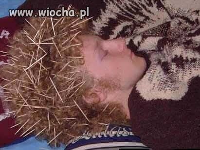 Jeż mięsny?