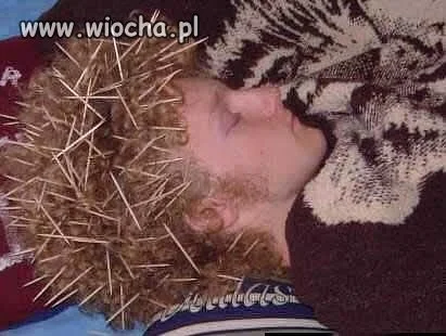 Jeż mięsny?