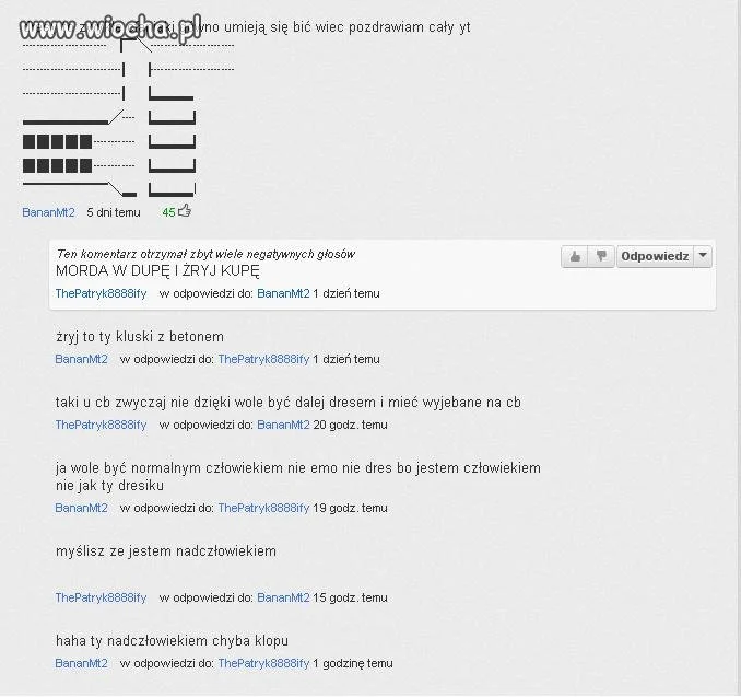 Inteligencja polskich youtube'erów
