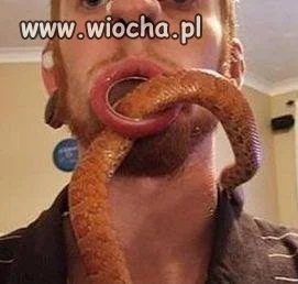 Nowy otwór