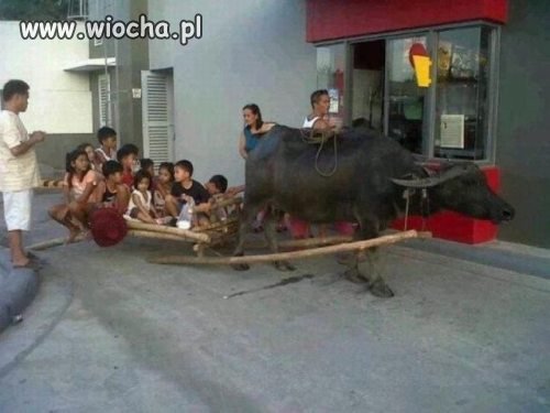 Mc drive lub inny fastfood tylko mobilnie