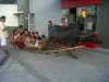 Mc drive lub inny fastfood tylko mobilnie
