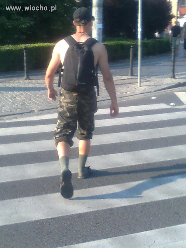 Wyszedł tak do samego centrum Wrocławia... 