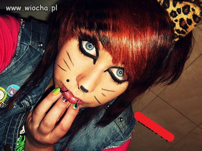Kici KICZI!