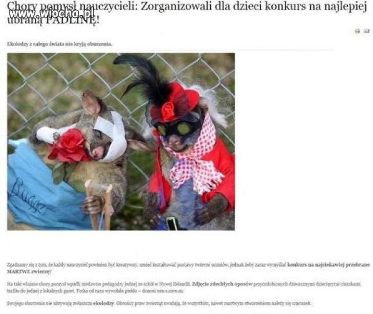 Nie ma to jak pomysłowość nuczycieli 