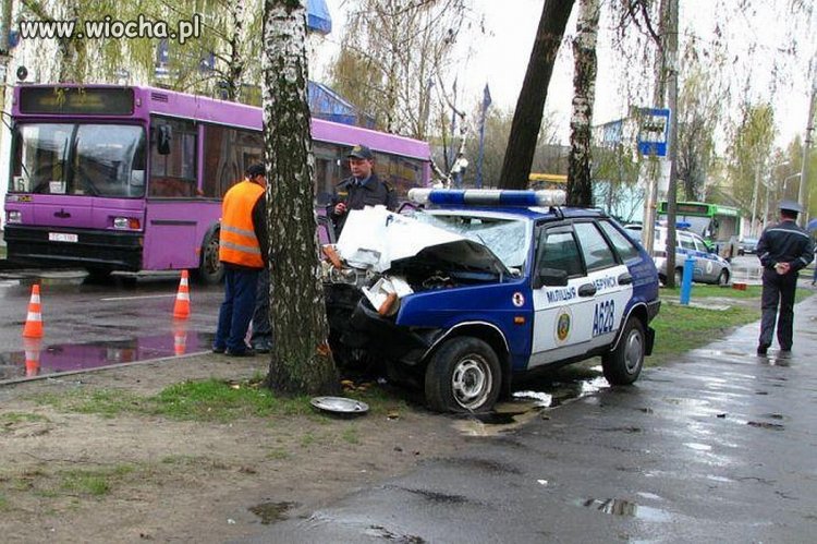 W pogoni za mandatem