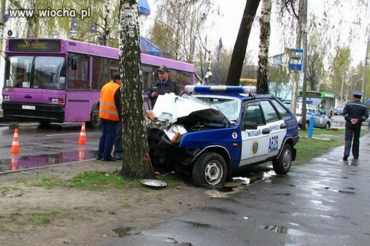 W pogoni za mandatem