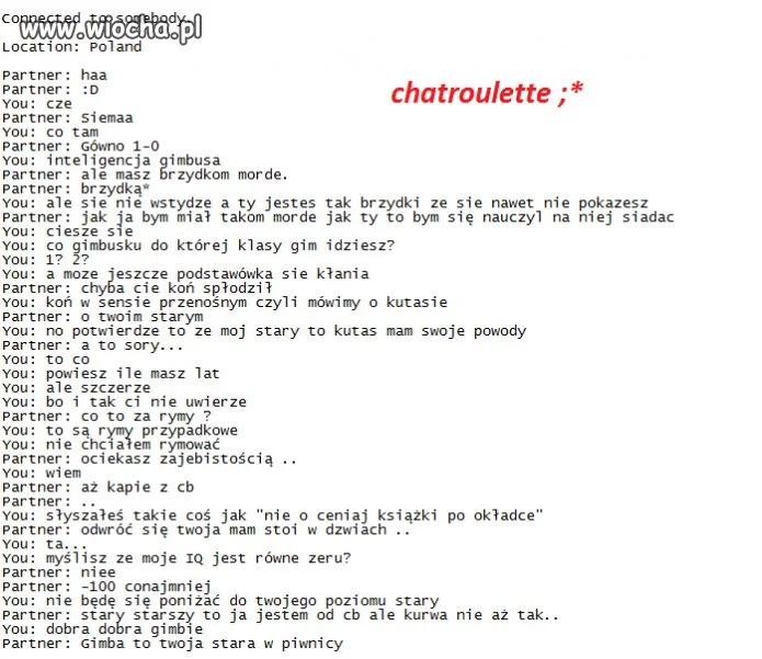 Polacy na chatroulette