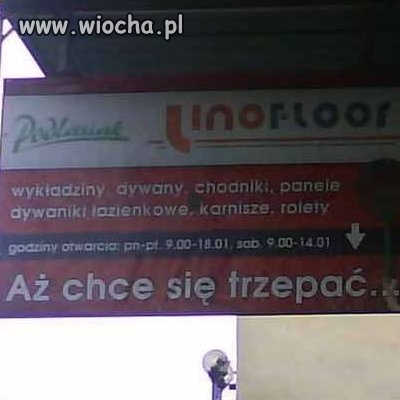 Aż chce się trzepać...