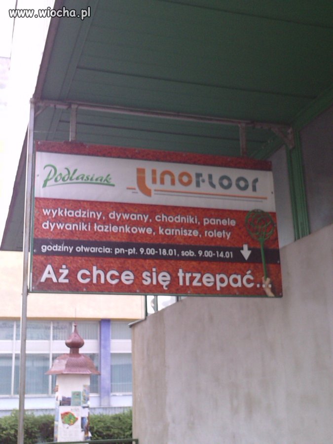 Dzisiejsze reklamy dywanów'Aż chce się trzepać' 