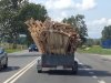 Droga z Tczewa w kierunku Gdańska