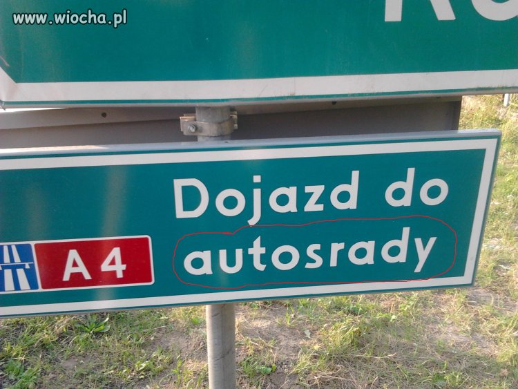 Polska wita