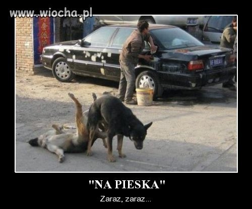 To dobiero nazywa się