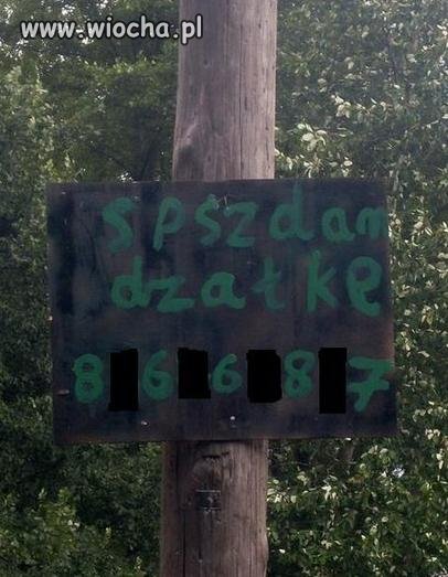 Lub zamienię