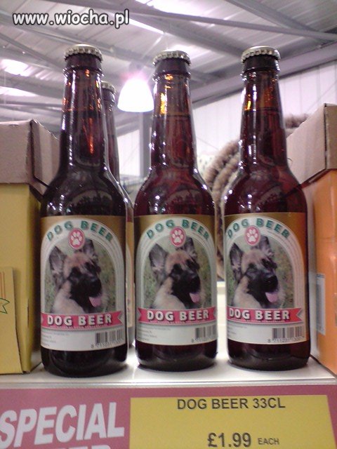 Dog beer