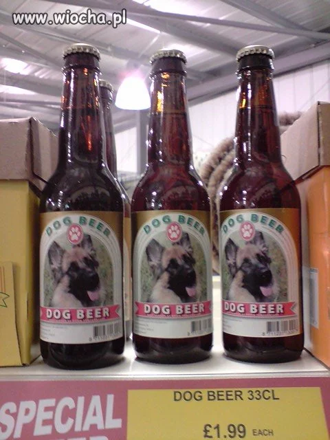 Dog beer
