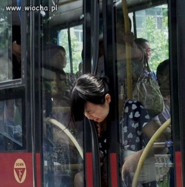 Kierowca autobusu