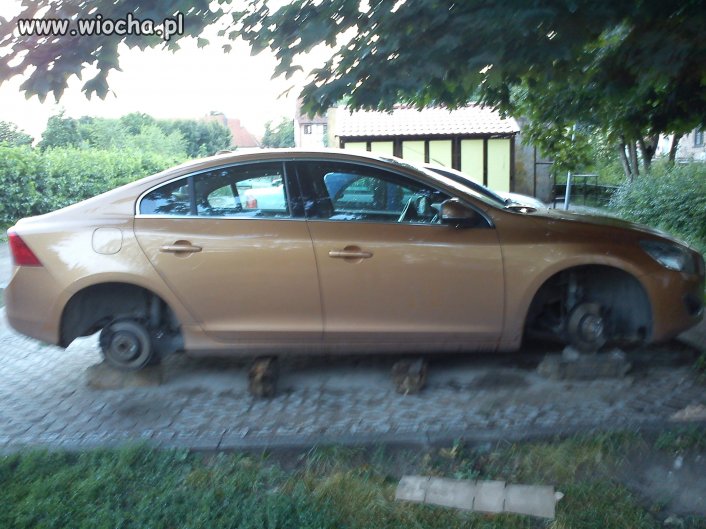 Elbląg wita