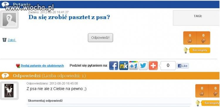 Głupie Pytanie 