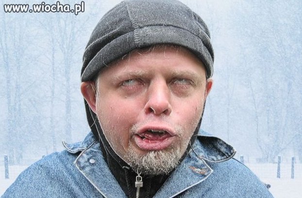 Chyba mróz wszedł mu uszami