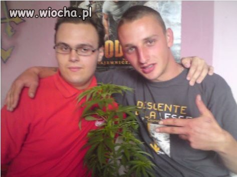 No i się pochwalili...