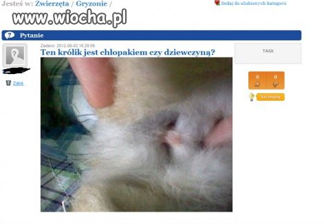 Takie pytania na zapytaj.