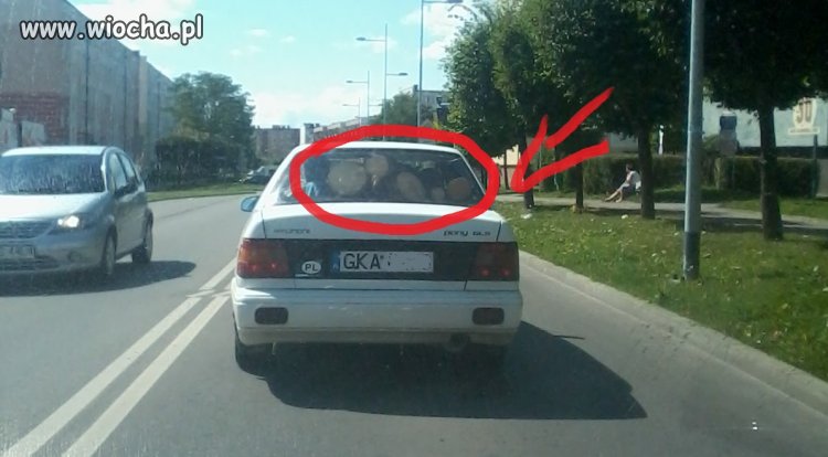 Polak potrafi 