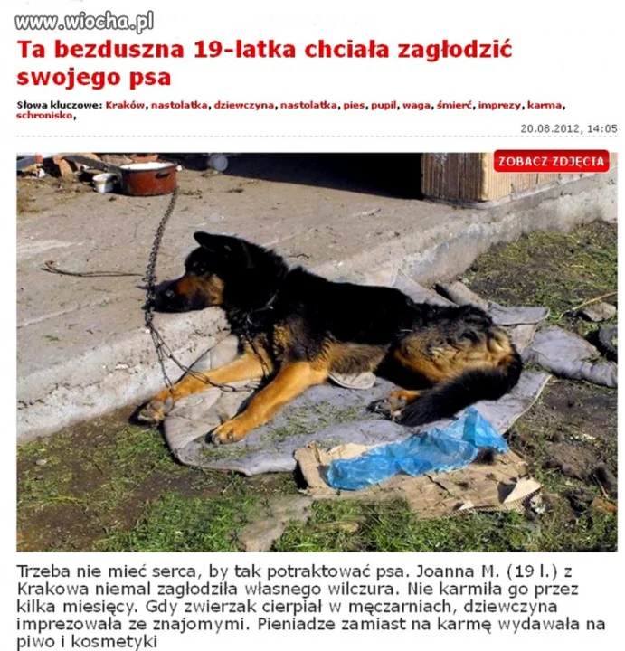 Pozostawię to bez komentarza.