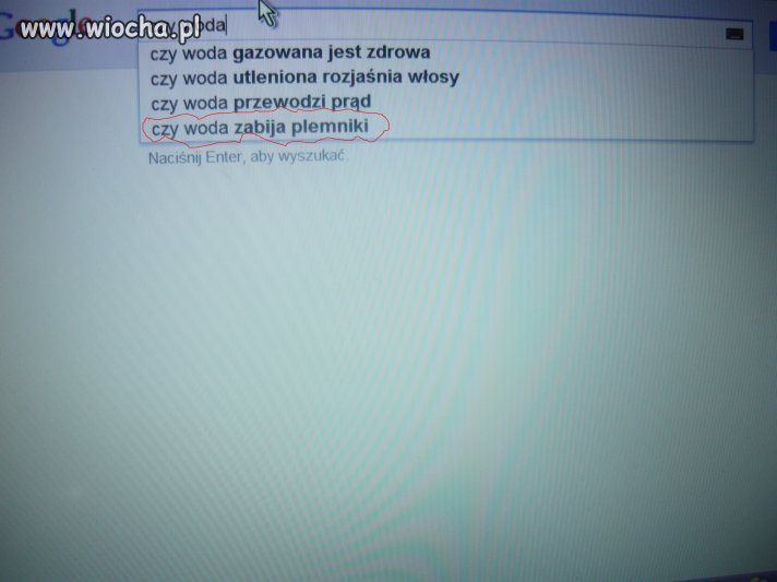 Inteligencja polskiego społeczeństwa
