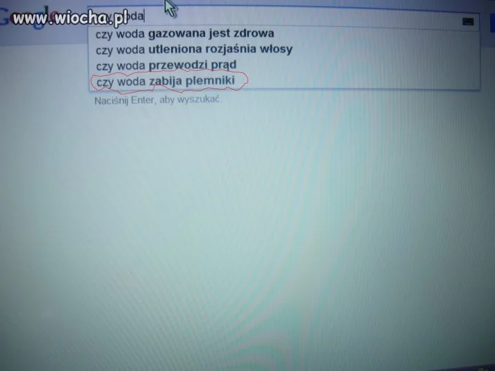 Inteligencja polskiego społeczeństwa