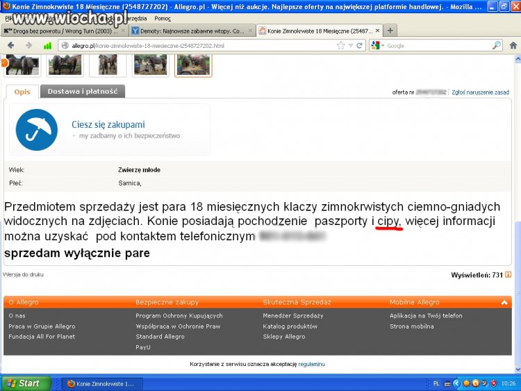 Drobny błąd