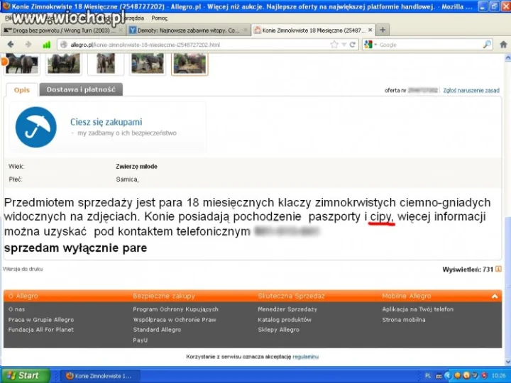 Drobny błąd