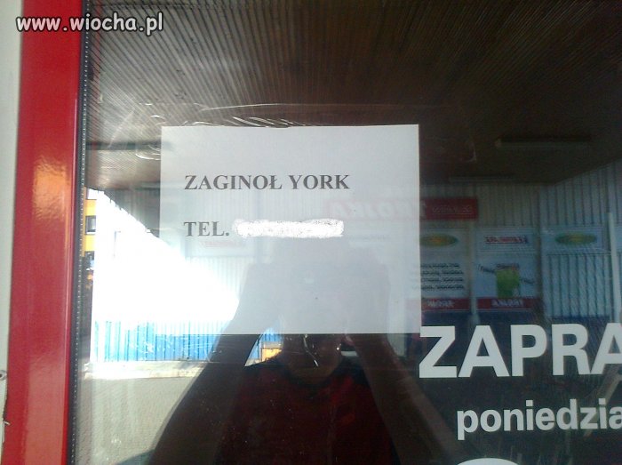 York poszukiwany