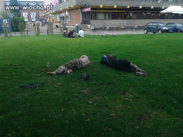 Wytrawne wino powala z nóg.