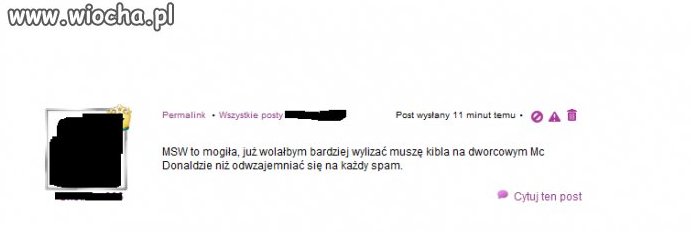 Wylizać kible 
