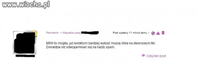 Wylizać kible 