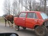 POLSKA! 