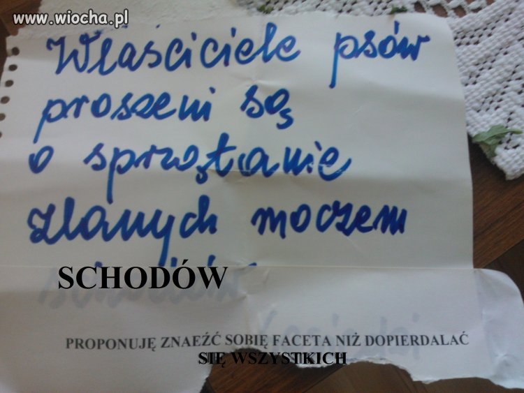 Kulturalna odpowiedź sąsiada