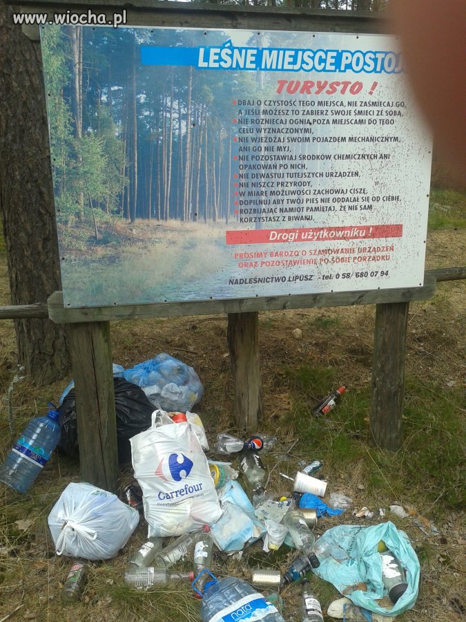 Polski turysta w lesie 