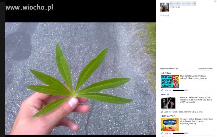 Lans gimnazjalnego kozaka na "marchuanę"
