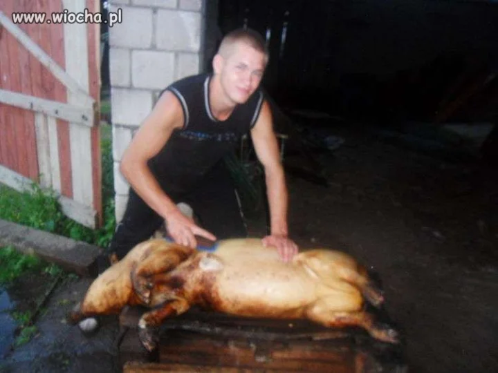 Takie Tam Ze Świniakiem 