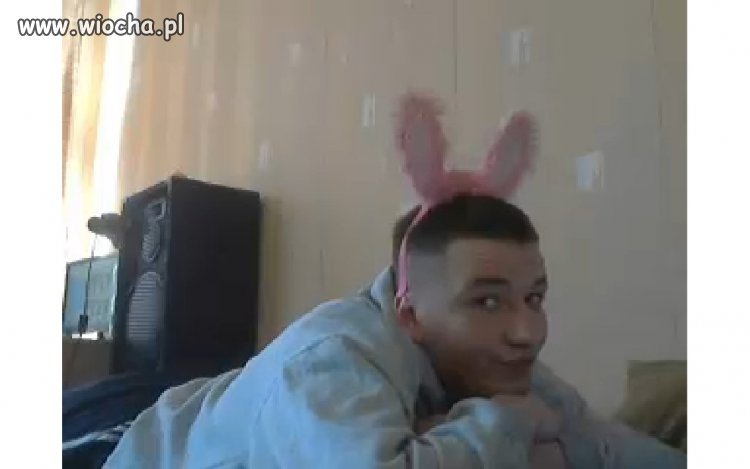Króliczek Playboya.