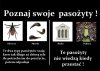 Co prawda, to prawda ...