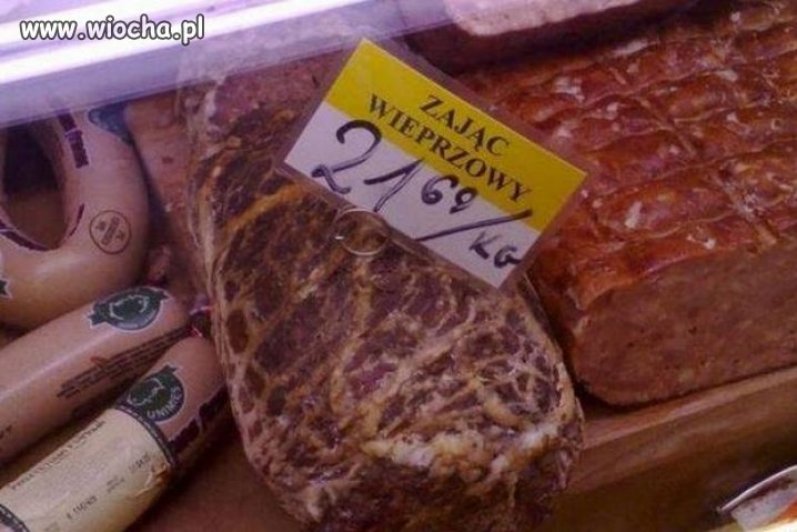 Zając Wieprzowy ...