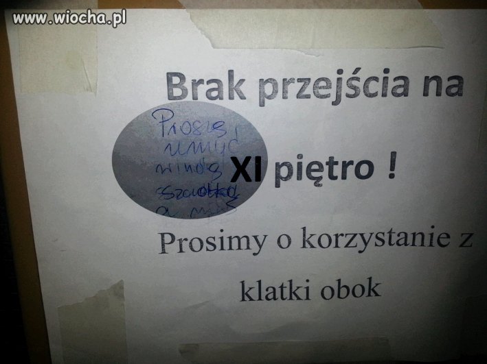 Proszę umyć windę szczotką.