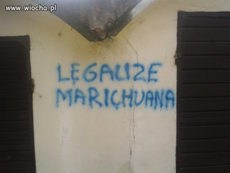 "MARICHUANA" ...